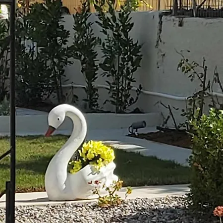 Fiore , 200m From Square Case de vacanță Argostolion