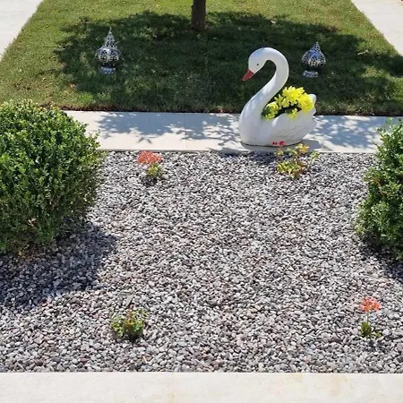 Fiore , 200m From Square ארגוסטולי