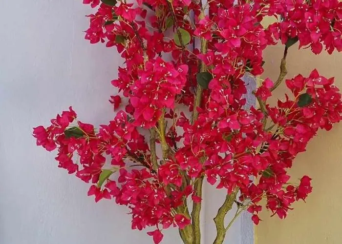 Fiore , 200m From Square Dom wakacyjny